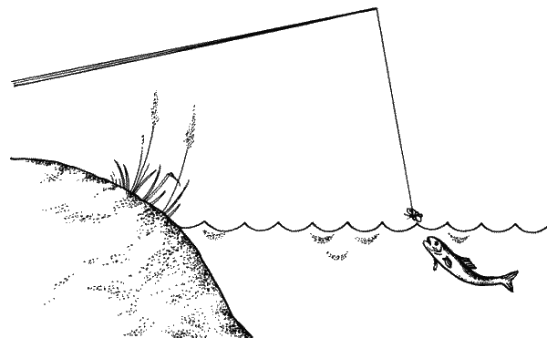 Большая книга рыболова–любителя (с цветной вкладкой) - _029.png