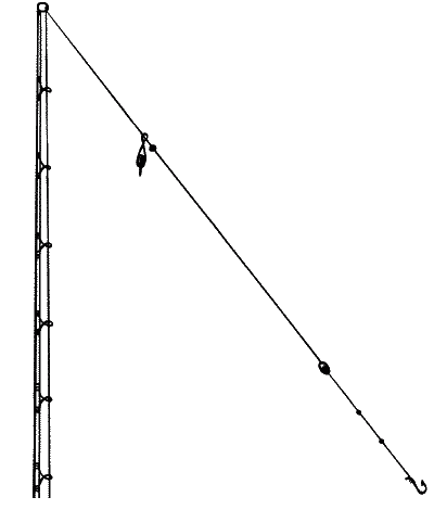 Большая книга рыболова–любителя (с цветной вкладкой) - _033.png