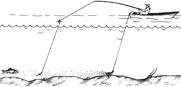 Большая книга рыболова–любителя (с цветной вкладкой) - _034.png