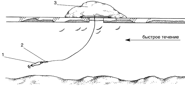 Большая книга рыболова–любителя (с цветной вкладкой) - _038.png