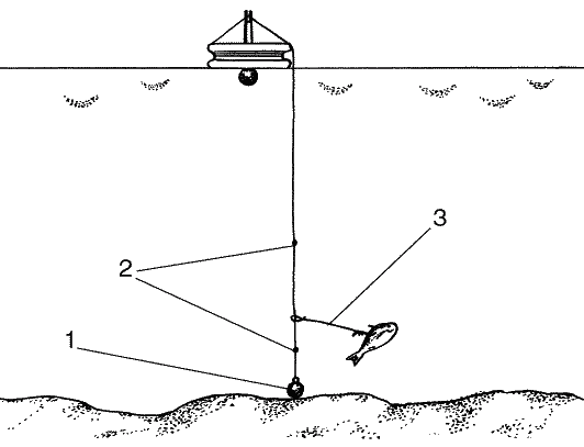 Большая книга рыболова–любителя (с цветной вкладкой) - _040.png