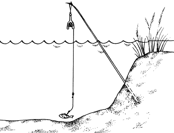 Большая книга рыболова–любителя (с цветной вкладкой) - _041.png