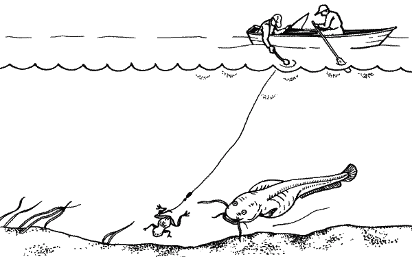 Большая книга рыболова–любителя (с цветной вкладкой) - _044.png