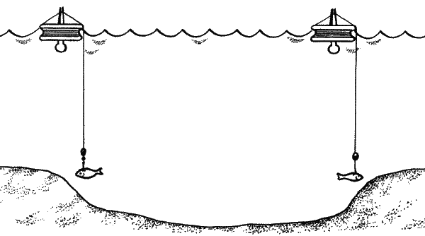 Большая книга рыболова–любителя (с цветной вкладкой) - _046.png