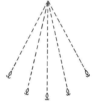 Большая книга рыболова–любителя (с цветной вкладкой) - _049.png