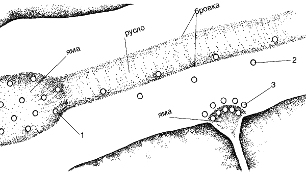 Большая книга рыболова–любителя (с цветной вкладкой) - _050.png