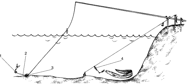 Большая книга рыболова–любителя (с цветной вкладкой) - _052.png