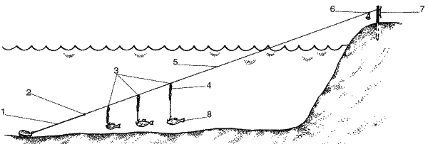 Большая книга рыболова–любителя (с цветной вкладкой) - _054.png