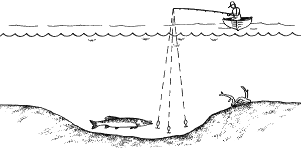 Большая книга рыболова–любителя (с цветной вкладкой) - _071.png