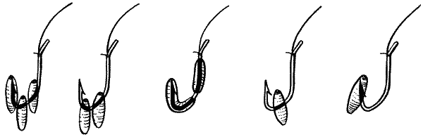 Большая книга рыболова–любителя (с цветной вкладкой) - _077.png