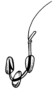 Большая книга рыболова–любителя (с цветной вкладкой) - _110.png