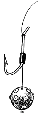 Большая книга рыболова–любителя (с цветной вкладкой) - _111.png