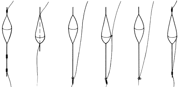 Большая книга рыболова–любителя (с цветной вкладкой) - _122.png