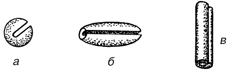 Большая книга рыболова–любителя (с цветной вкладкой) - _125.png