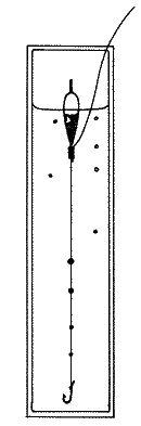 Большая книга рыболова–любителя (с цветной вкладкой) - _137.png