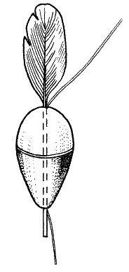 Большая книга рыболова–любителя (с цветной вкладкой) - _154.png