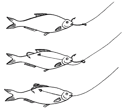 Большая книга рыболова–любителя (с цветной вкладкой) - _155.png