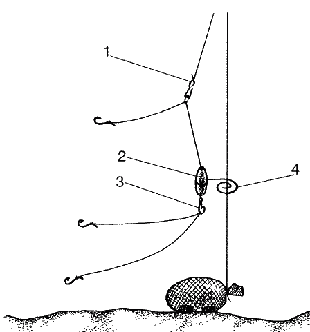 Большая книга рыболова–любителя (с цветной вкладкой) - _157.png