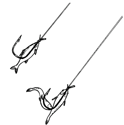 Большая книга рыболова–любителя (с цветной вкладкой) - _158.png