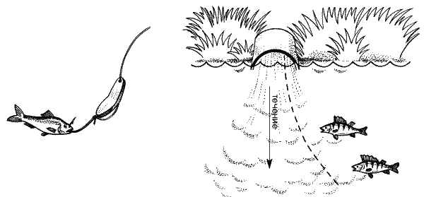 Большая книга рыболова–любителя (с цветной вкладкой) - _163.png