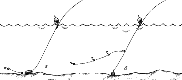 Большая книга рыболова–любителя (с цветной вкладкой) - _167.png