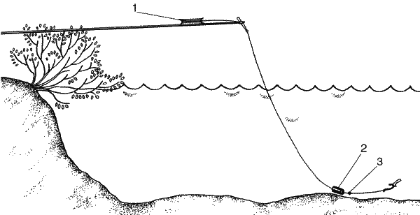 Большая книга рыболова–любителя (с цветной вкладкой) - _168.png