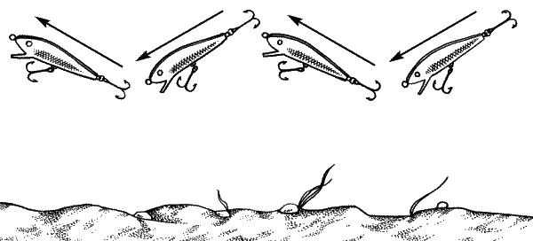 Большая книга рыболова–любителя (с цветной вкладкой) - _201.png