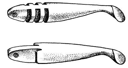Большая книга рыболова–любителя (с цветной вкладкой) - _205.png