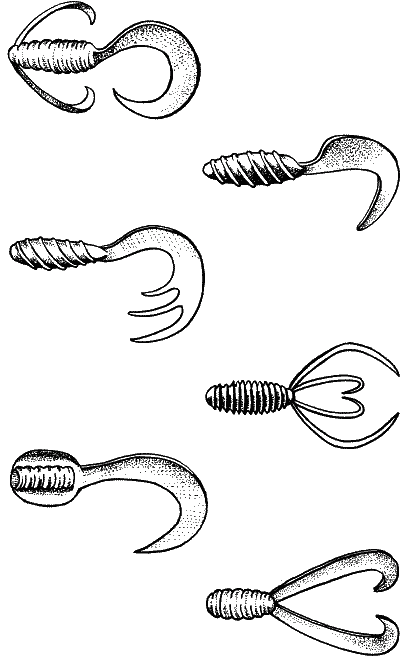 Большая книга рыболова–любителя (с цветной вкладкой) - _206.png