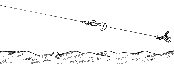 Большая книга рыболова–любителя (с цветной вкладкой) - _210.png