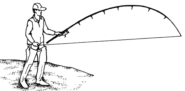 Большая книга рыболова–любителя (с цветной вкладкой) - _213.png