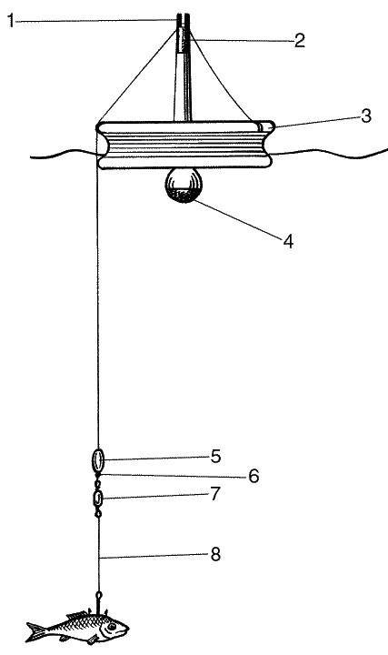 Большая книга рыболова–любителя (с цветной вкладкой) - _225.png