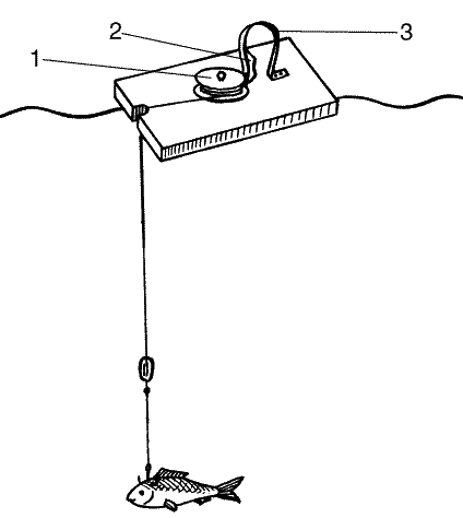 Большая книга рыболова–любителя (с цветной вкладкой) - _227.png