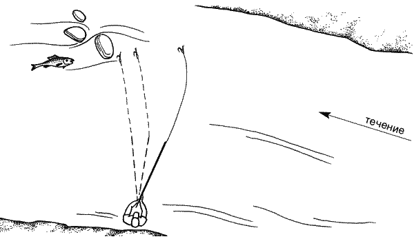 Большая книга рыболова–любителя (с цветной вкладкой) - _249.png