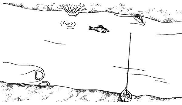 Большая книга рыболова–любителя (с цветной вкладкой) - _252.png