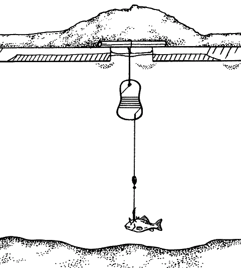 Большая книга рыболова–любителя (с цветной вкладкой) - _296.png