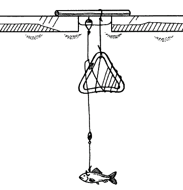 Большая книга рыболова–любителя (с цветной вкладкой) - _301.png