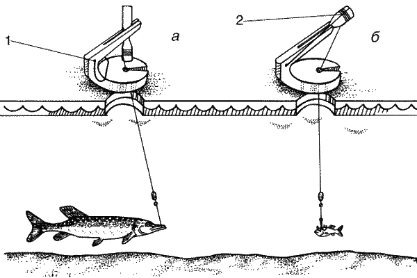 Большая книга рыболова–любителя (с цветной вкладкой) - _302.png