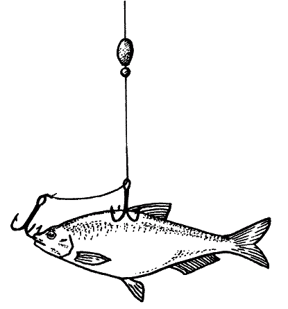 Большая книга рыболова–любителя (с цветной вкладкой) - _303.png