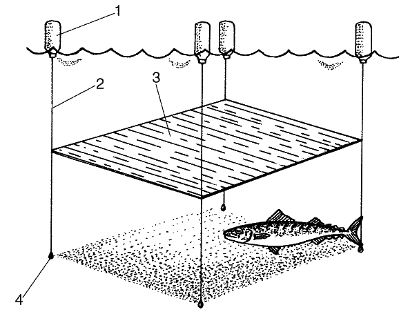 Большая книга рыболова–любителя (с цветной вкладкой) - _340.png