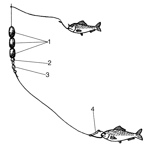 Большая книга рыболова–любителя (с цветной вкладкой) - _362.png