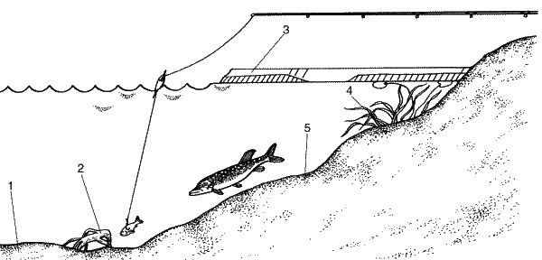 Большая книга рыболова–любителя (с цветной вкладкой) - _367.png