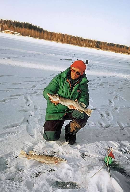 Большая книга рыболова–любителя (с цветной вкладкой) - _19_1.jpg