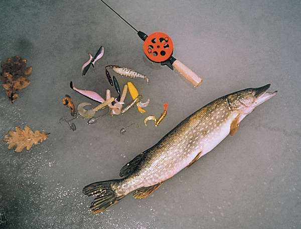 Большая книга рыболова–любителя (с цветной вкладкой) - _19_2.jpg