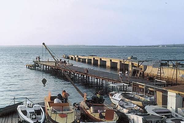 Большая книга рыболова–любителя (с цветной вкладкой) - _23_1.jpg