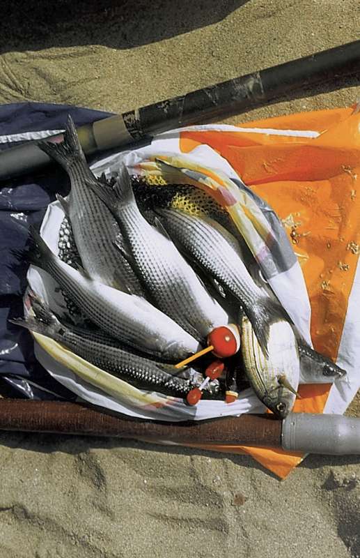 Большая книга рыболова–любителя (с цветной вкладкой) - _25_2.jpg