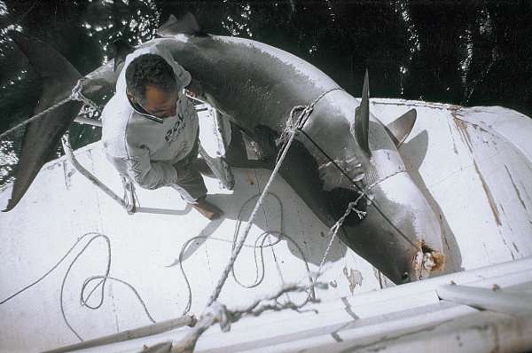 Большая книга рыболова–любителя (с цветной вкладкой) - _26_1.jpg