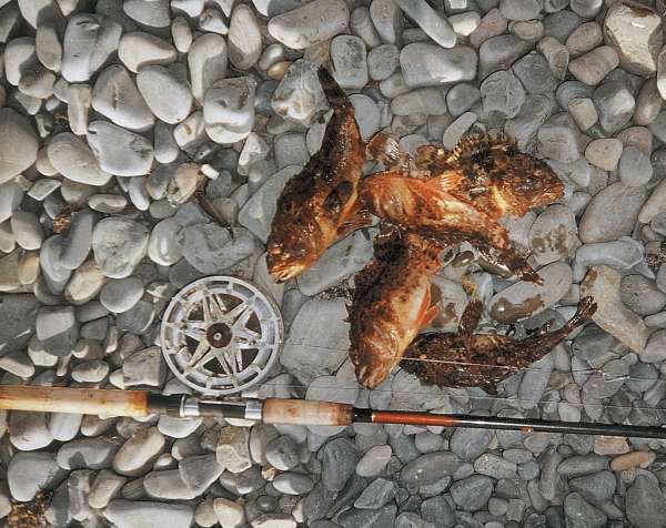 Большая книга рыболова–любителя (с цветной вкладкой) - _26_2.jpg