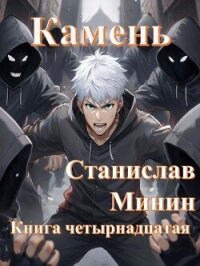 Камень Книга четырнадцатая (СИ) - Минин Станислав