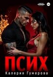 Псих - Гумерова Калерия